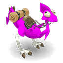 Dragodinde Orchidée