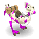 Dragodinde Amande et Orchidée