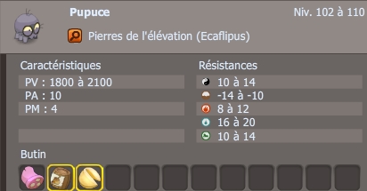 Pupuce