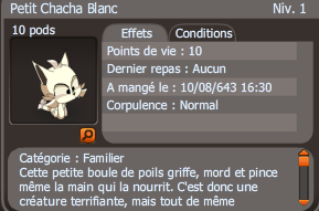 Petit Chacha Blanc, le familier offert à la sortie