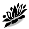 L'état Lotus