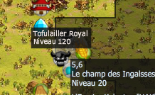 Position du Tofulailler Royal, à l'atelier paysan en [5,6]